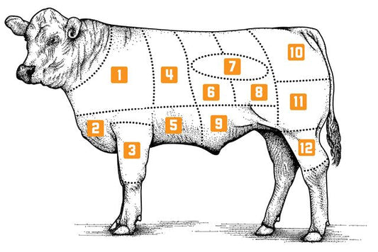 Parts of an Angus Steer